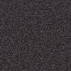 Regal Elegance - - Image 2
